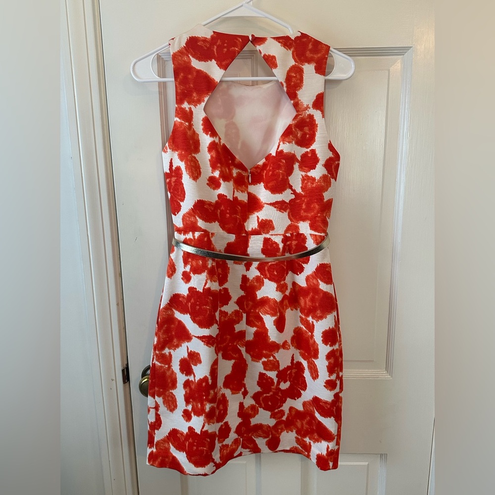 Eliza J Floral Red and White Dress with Belt - Picture 6 of 9